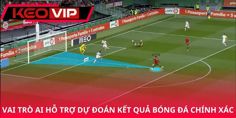 machine-learning-va-ai-trong-du-doan-bong-da-vai-tro